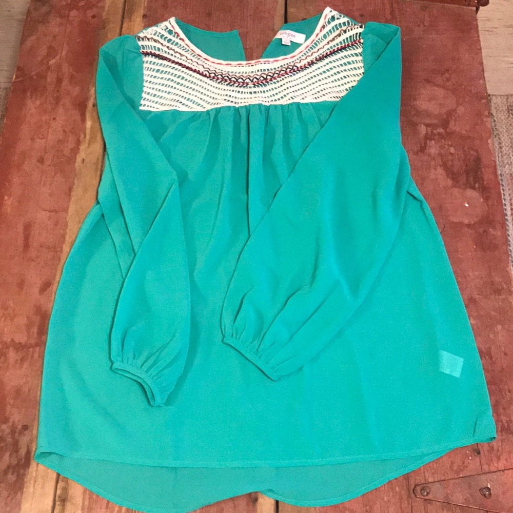 Long sleeve embroidered top